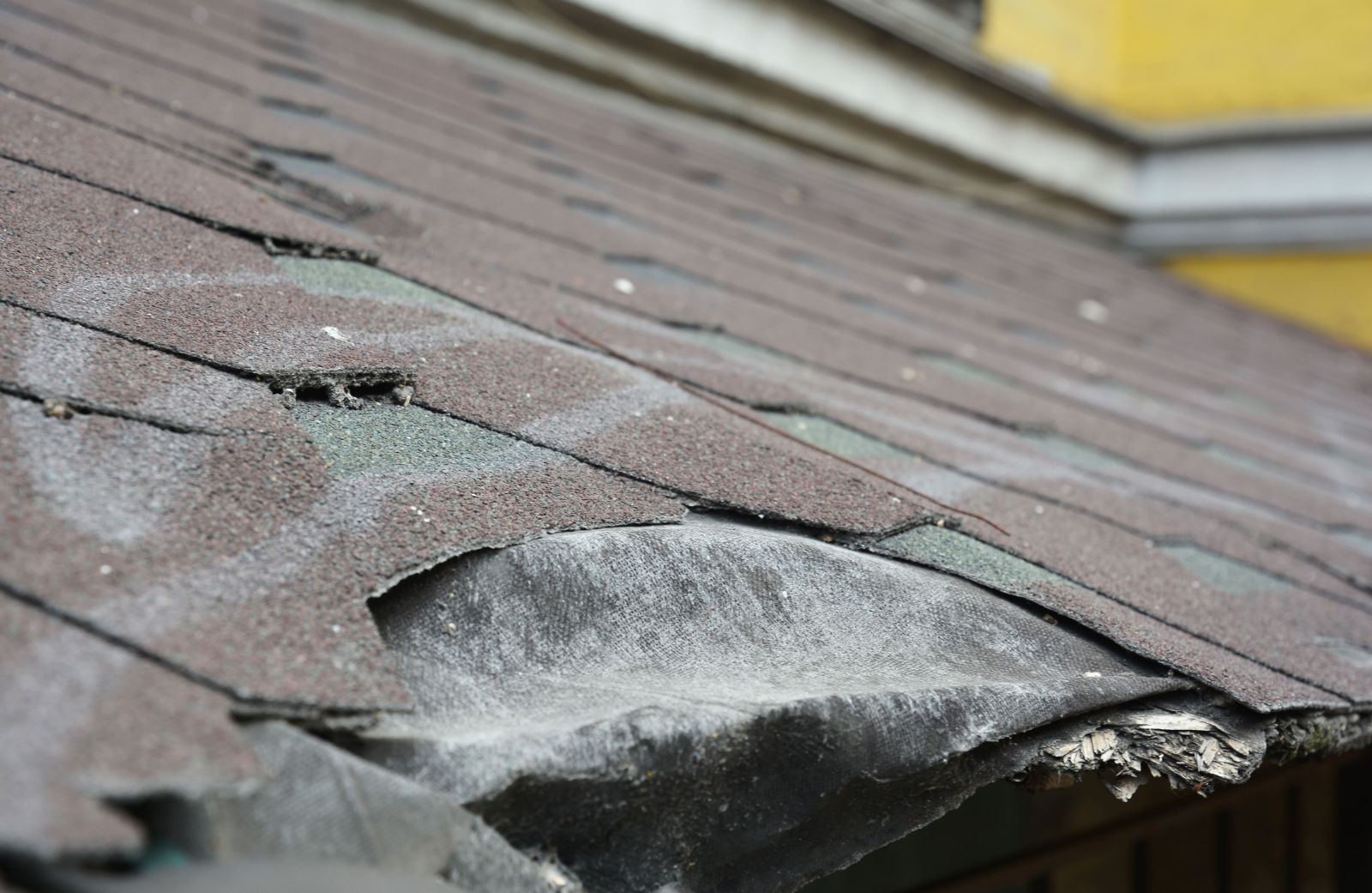 Bigfoot  Roofing & Construction Images