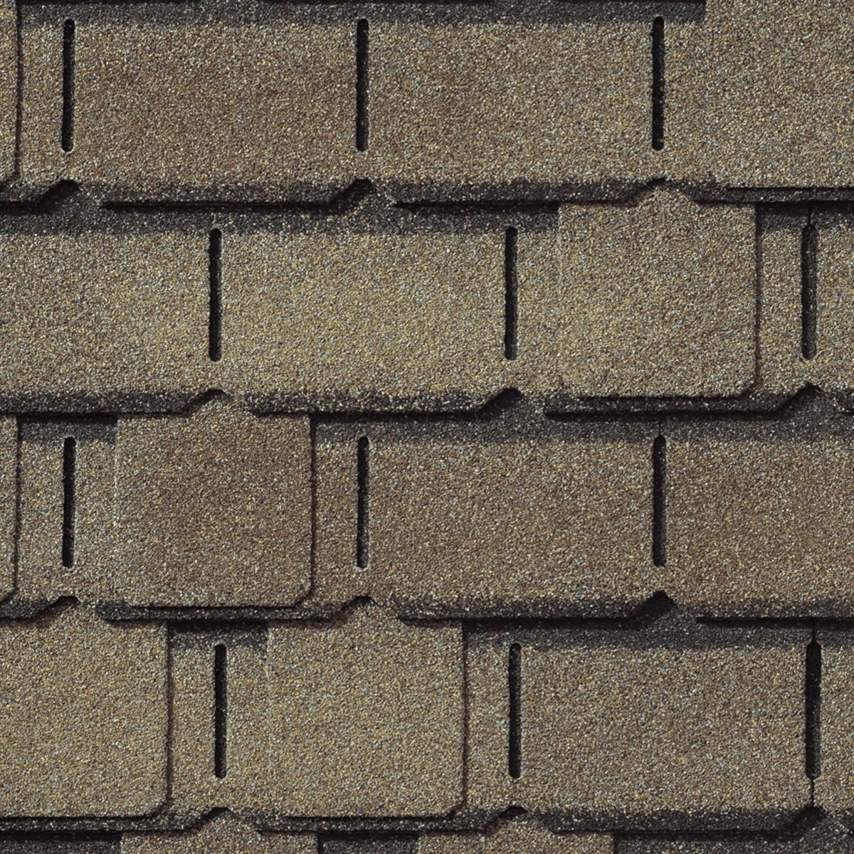 Bigfoot  Roofing & Construction Images