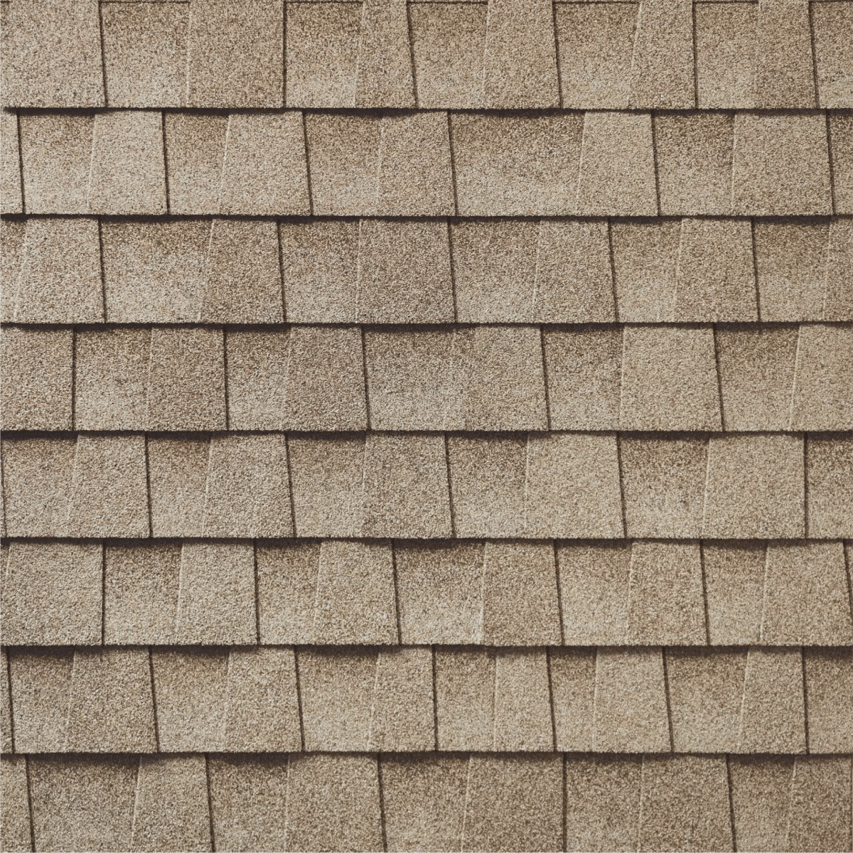 Bigfoot  Roofing & Construction Images
