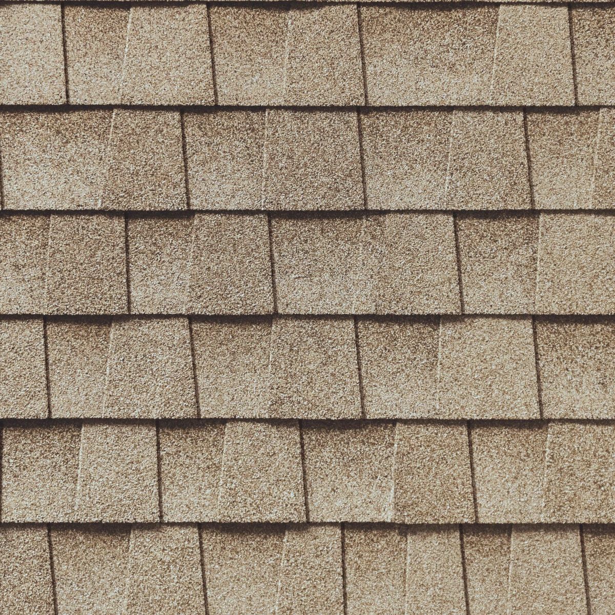 Bigfoot  Roofing & Construction Images