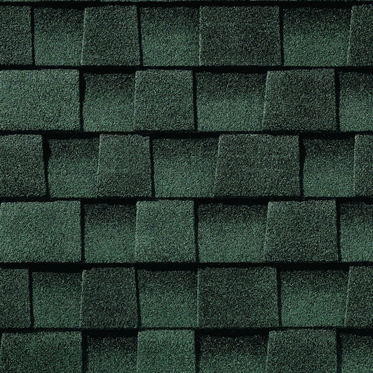 Bigfoot  Roofing & Construction Images