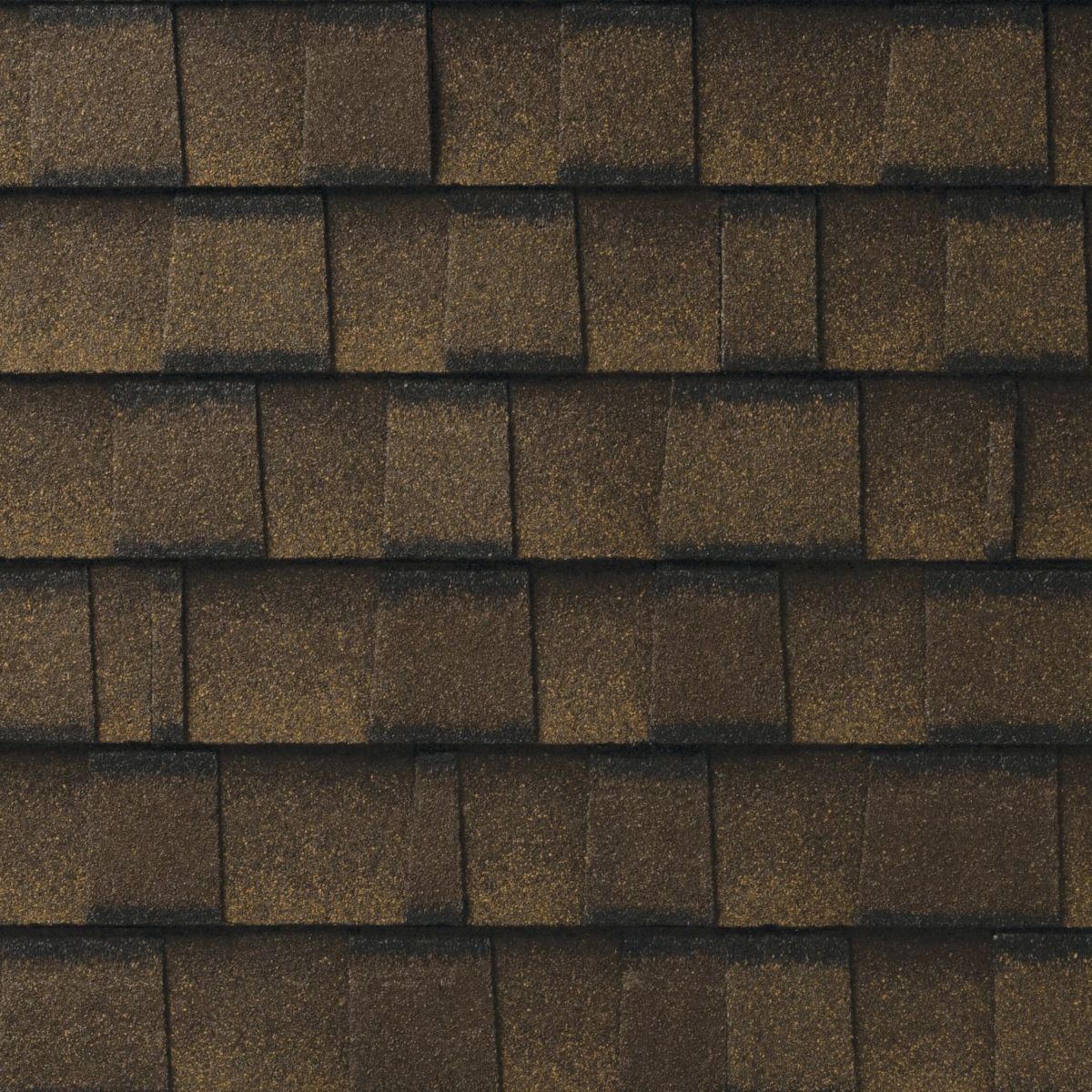 Bigfoot  Roofing & Construction Images