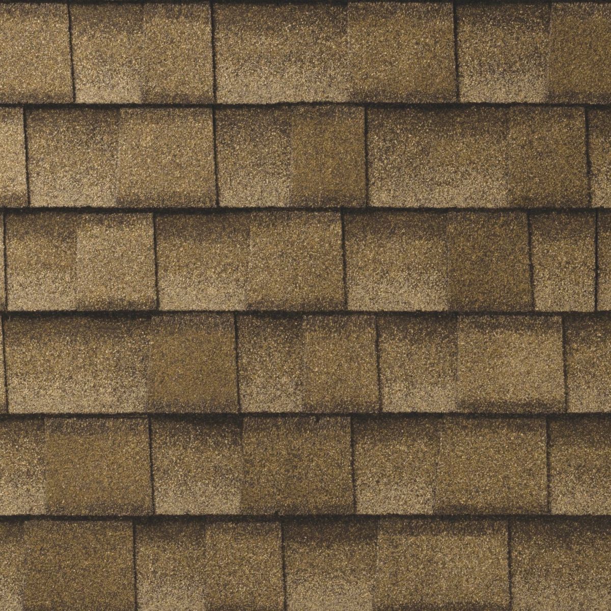 Bigfoot  Roofing & Construction Images