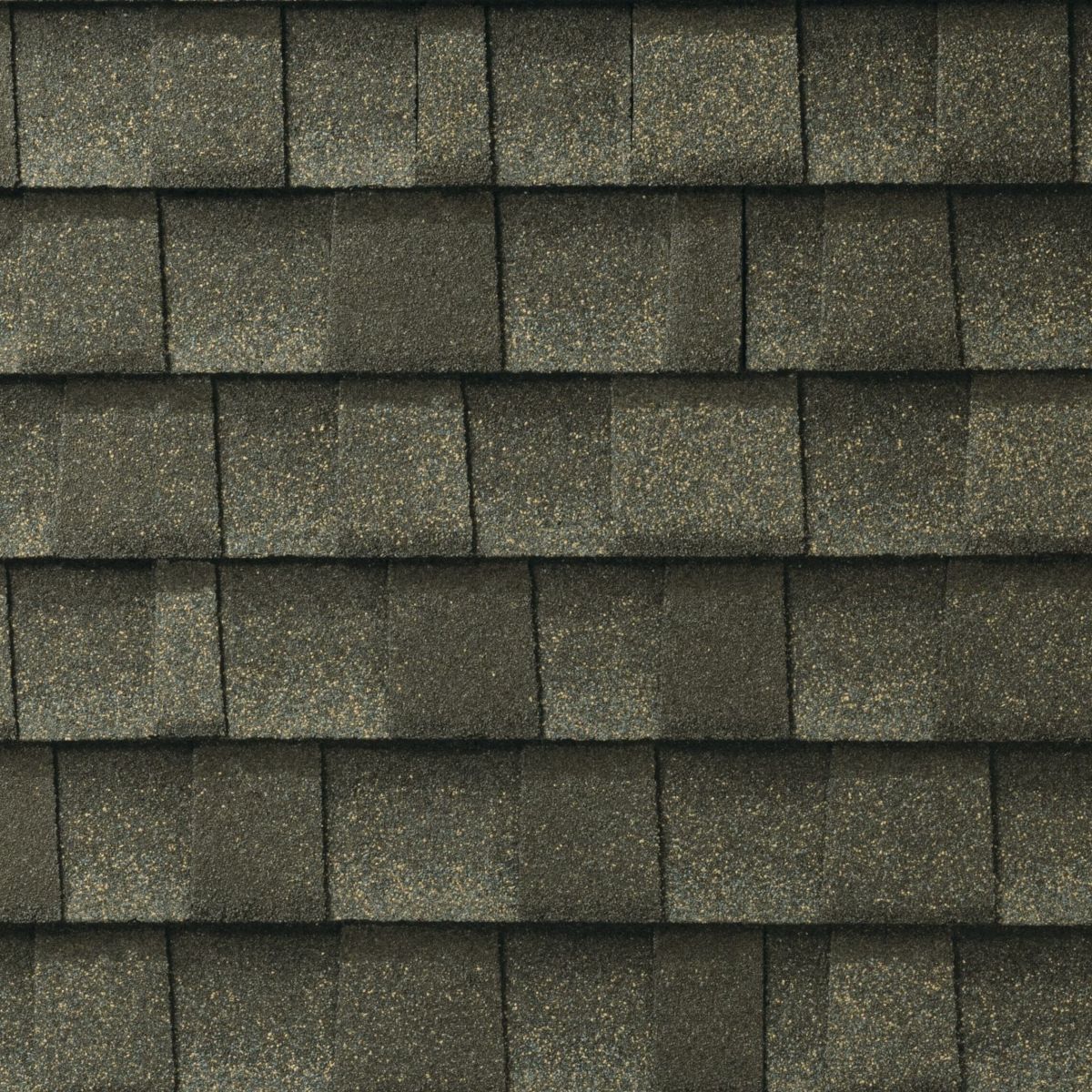 Bigfoot  Roofing & Construction Images