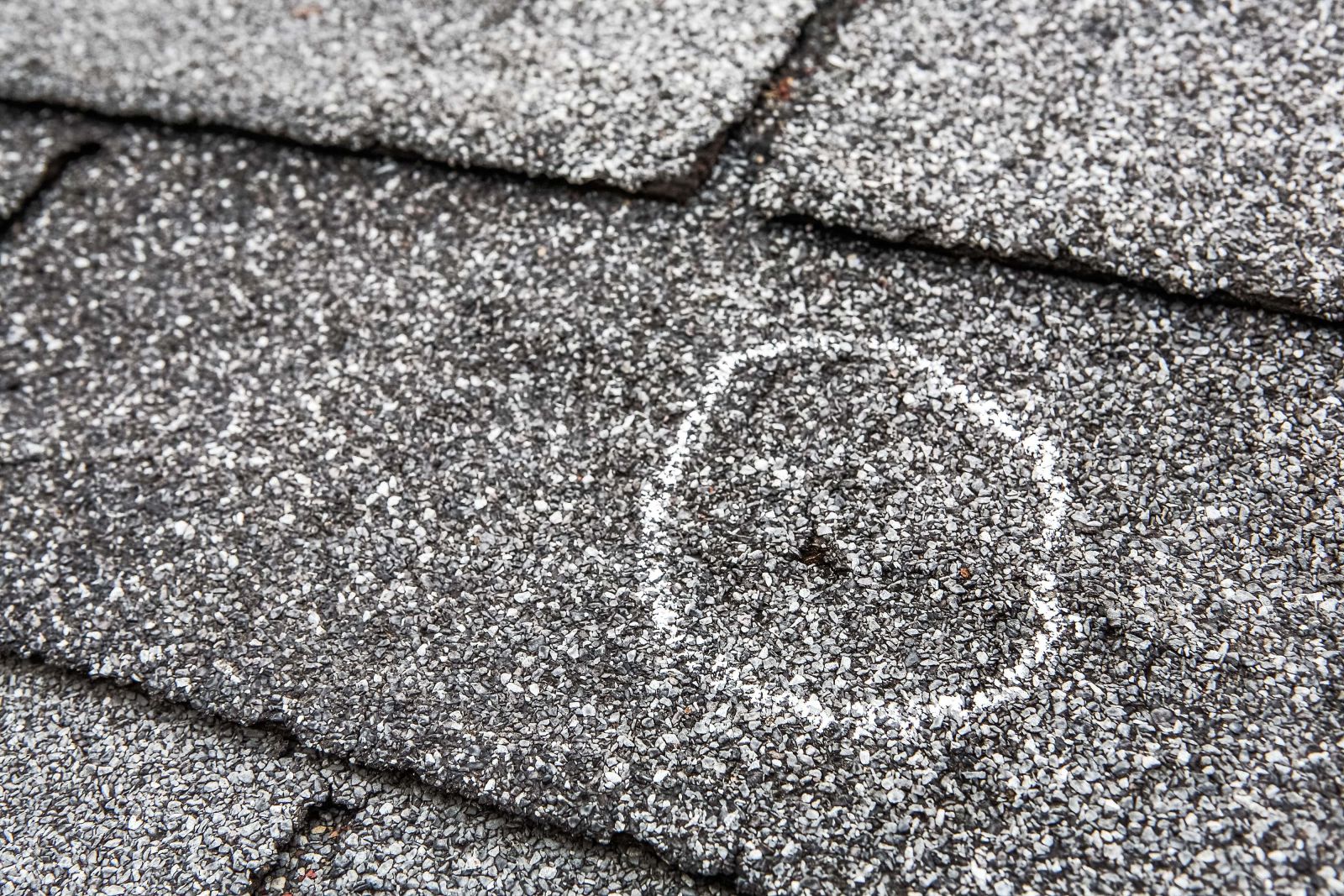 Bigfoot  Roofing & Construction Images