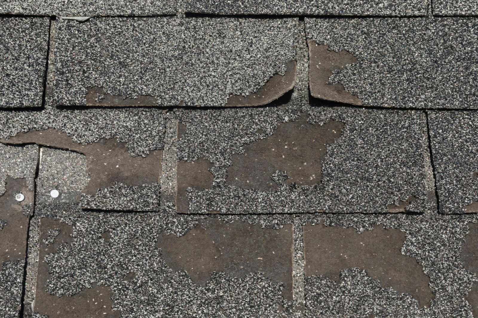 Bigfoot  Roofing & Construction Images